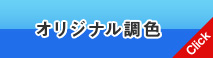 オリジナル調色